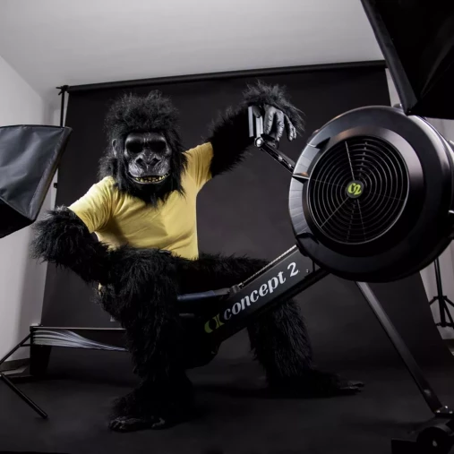 Гребной тренажер Concept2 RowErg Standard с монитором PM5 Гребной тренажер Concept2 RowErg Standard с монитором PM5