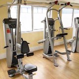 Подтягивание / отжимание с помощью Hoist HD-3700