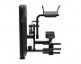 Пресс/Разгибание спины AeroFIT Impulse IT9534