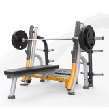 MATRIX Magnum MG-A678 Олимпийская скамья с доводчиком