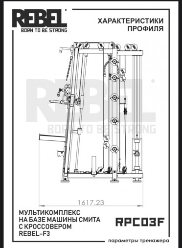 Мультикомплекс на базе Машины Смита с кроссовером REBEL F3 RPC03F Мультикомплекс на базе Машины Смита с кроссовером REBEL F3 RPC03F