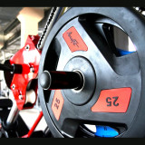 Диск обрезиненный 20 кг черно-синий AeroFit AFPLC