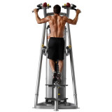 Hoist RS-1700 Гравитрон (турник с противовесом) Platinum