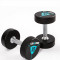 Гантели в уретане LIVEPRO Premium Urethane Dumbbells 2 кг, черный/синий (пара)